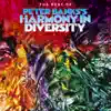 Peter Banks - The Best of Peter Banks's Harmony in Diversity